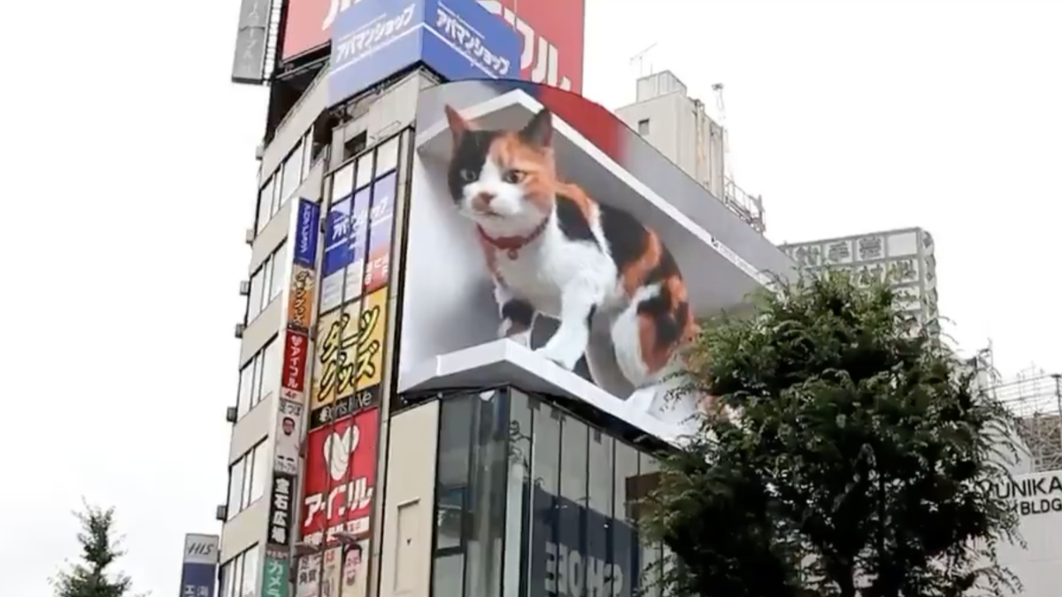 Giant cat appears on Shinjuku's 3D billboard