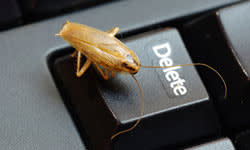 <b>Cockroaches can scurry out from behind books on shelves, from underneath or inside of electronics and light fixtures, and from on top of knick-knacks and candles.</b> iStockphoto/<a class="link " href="http://www.thinkstockphotos.com" rel="nofollow noopener" target="_blank" data-ylk="slk:Thinkstock;elm:context_link;itc:0;sec:content-canvas">Thinkstock</a>