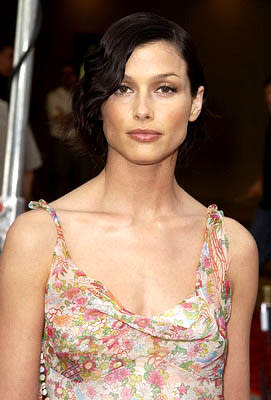 Bridget Moynahan at the LA premiere of Paramount's The Sum of All Fears