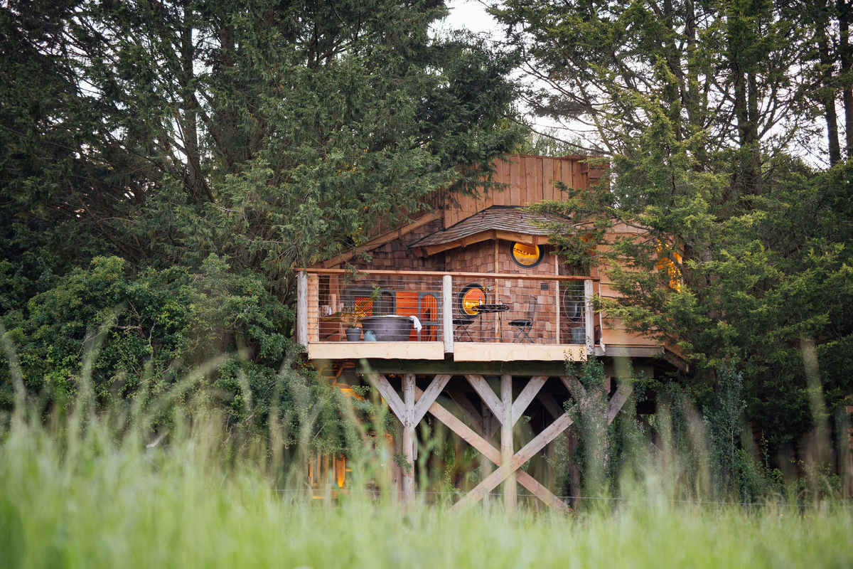 Tuck into an intimate treetop in rural Somerset  (Coolstays)