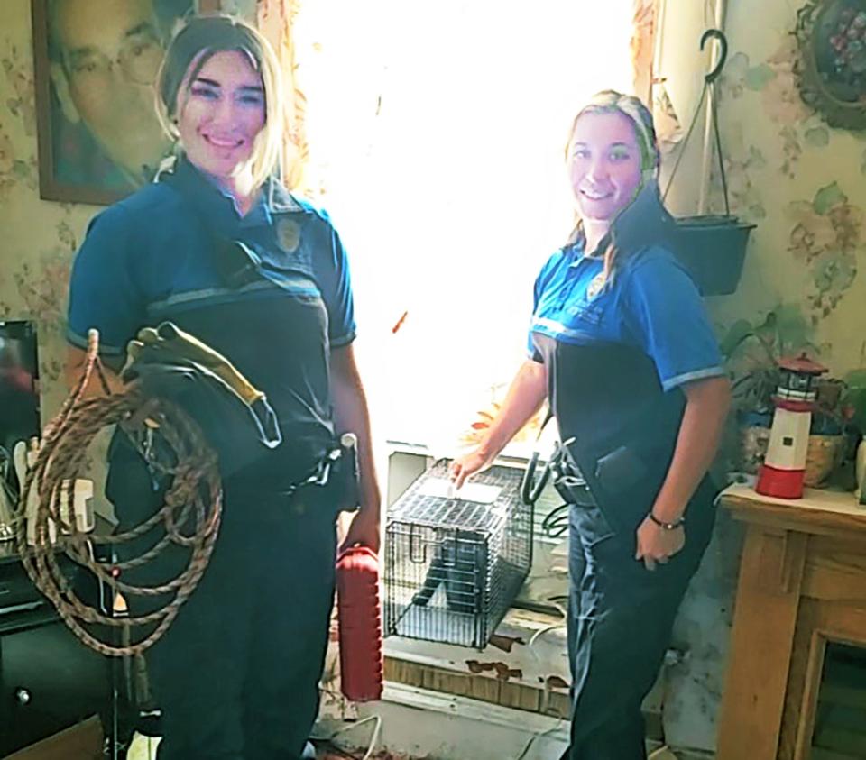 Pueblo Animal Law Enforcement officers Skylar Sardello (left) and Stephanie Dominguez smile with relief after rescuing a feral cat trapped in a swamp cooler.