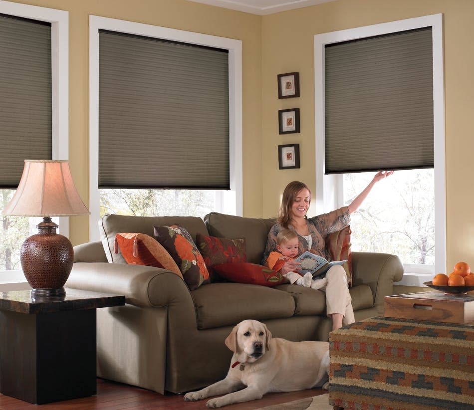 Custom Cordless Single Cell Shades