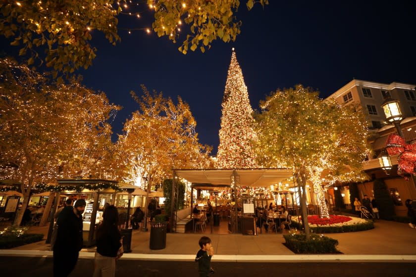 GLENDALE, CA -- DECEMBER 05, 2019: The 100-foot tall Christmas tree at The Americana at Brand in Glendale is a white fir that comes from the Mt. Shasta area and are among the tallest around. It's lit with 15,000 lights and decorated with 10,000 ornaments. (Myung J. Chun / Los Angeles Times)