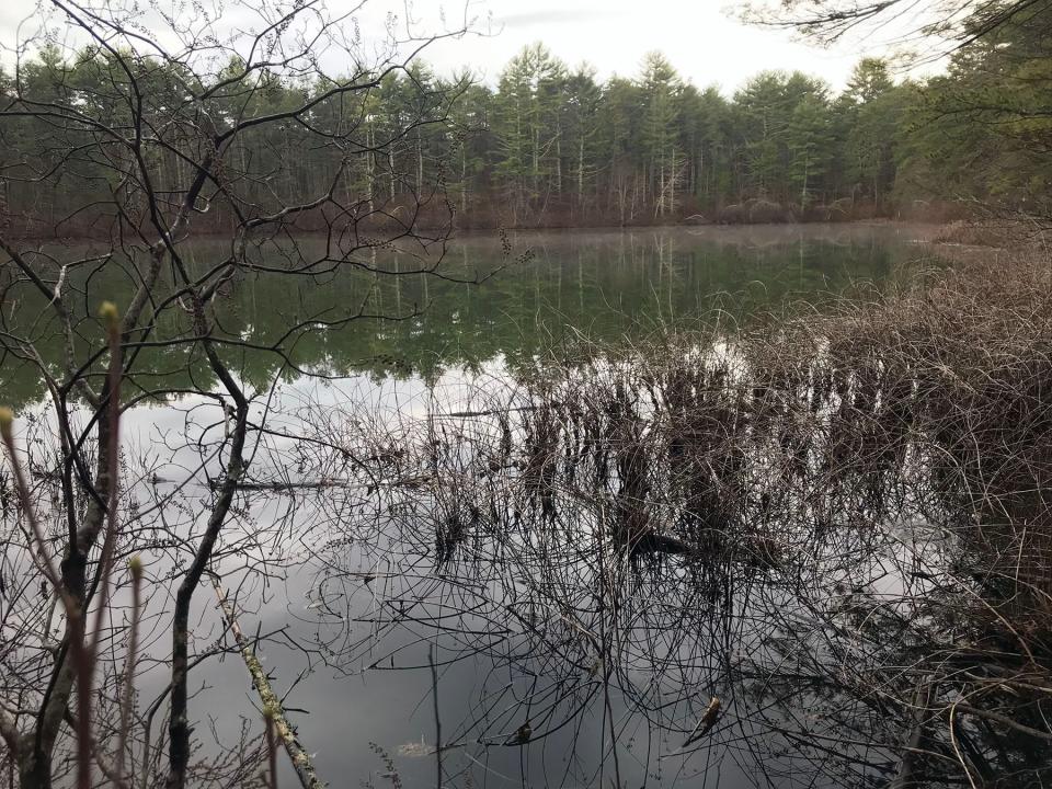 Plain Pond is a kettle pond formed by retreating glaciers during the Ice Age.