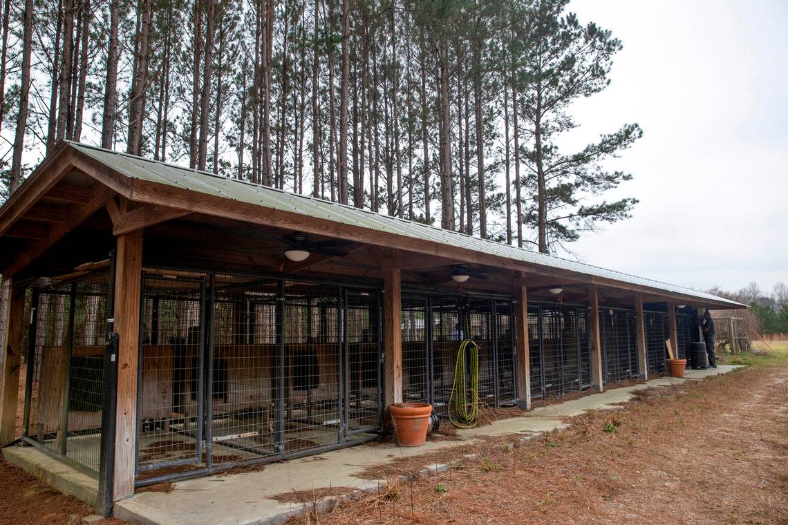 The dog kennels at the Murdaugh Moselle property on Wednesday, March 1, 2023 in Islandton. Andrew J. Whitaker/The Post and Courier/Pool