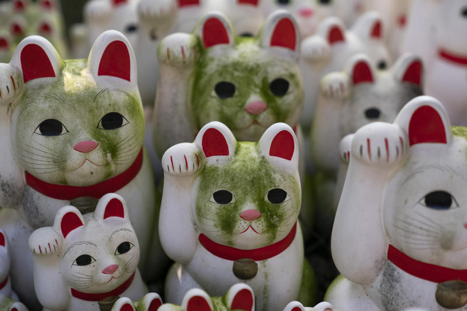 In this June 25, 2019, photo, stained beckoning cat figurines are seen at Gotokuji Temple in Tokyo. According to a centuries-old legend provided by the temple, Gotokuji, a Buddhist temple located in the quiet neighborhood of Setagaya, is the birthplace of beckoning cats, the famous cat figurines that are widely believed to bring good luck and prosperity to home and businesses. Some visitors come just to snap a few photos, while others make a trip to the temple to pray and make wishes. (AP Photo/Jae C. Hong)