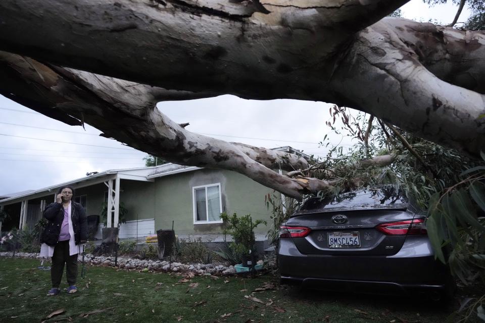 Maura Taura talks on a cellphone outside her home next to a downed tree after Tropical Storm Hilary went through Monday, Aug. 21, 2023, in Sun Valley, Calif. | Marcio Jose Sanchez, Associated Press