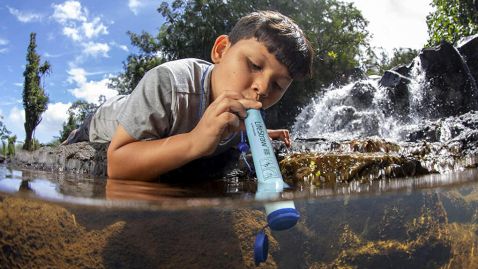 LifeStraw portable water filter