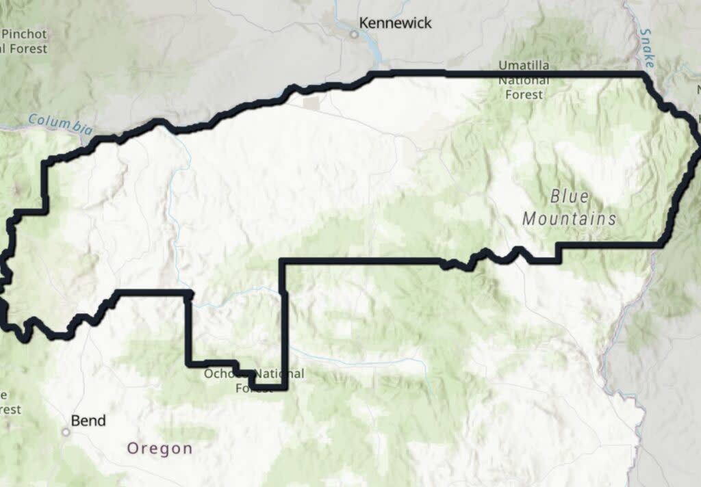 Oregon's state Senate District 29 is the second largest in the state. (Courtesy of Oregon Legislature)