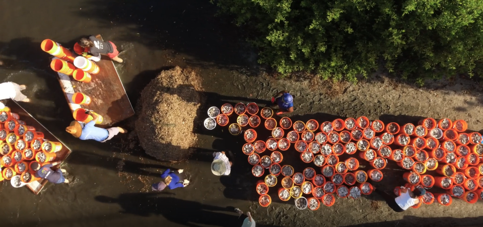 Buckets of oyster shells are seen in "Unfiltered: The Truth About Oysters.” The documentary has been accepted into the Sarasota Film Festival and will be screened on March 29, 2023.