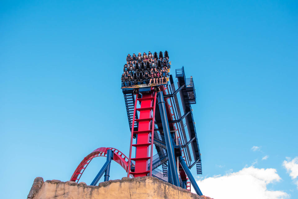 Le parc d’attraction Busch Gardens Tampa (Crédit : Getty Images)