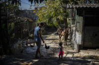 A horse that used to pull tourists in a carriage stands outside with its owner Rigoberto Romero in Havana, Cuba, Feb. 24, 2021. “For everyone, Biden is hope,” said Romero, who used to make a living by taking tourists around the capital by horse-drawn carriage but now just takes care of his horses at home while tourism is down. (AP Photo/Ramon Espinosa)