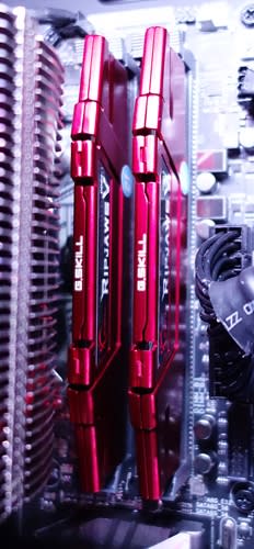 The G.Skill RipJaws V, in its Blazing Red color scheme, DDR4 2400Mhz, 8GB memory kit.