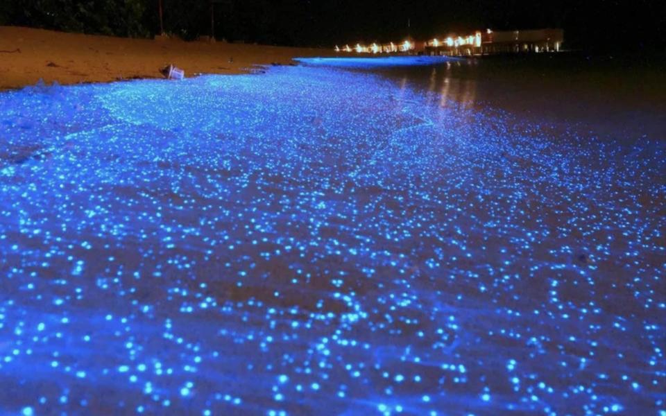 The Manialepec lagoon is world famous for its glow-in-the-dark pnankton - www.civitatis.com