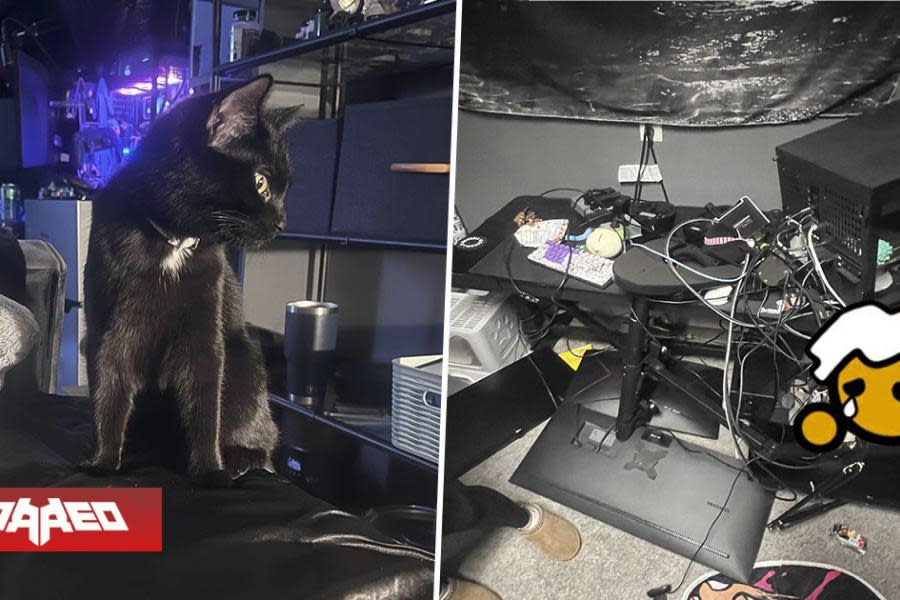 Llega a su casa a jugar en su PC después del trabajo y descubre que su gato destruyó toda su configuración: “¿Lloro ahora o más tarde...?”