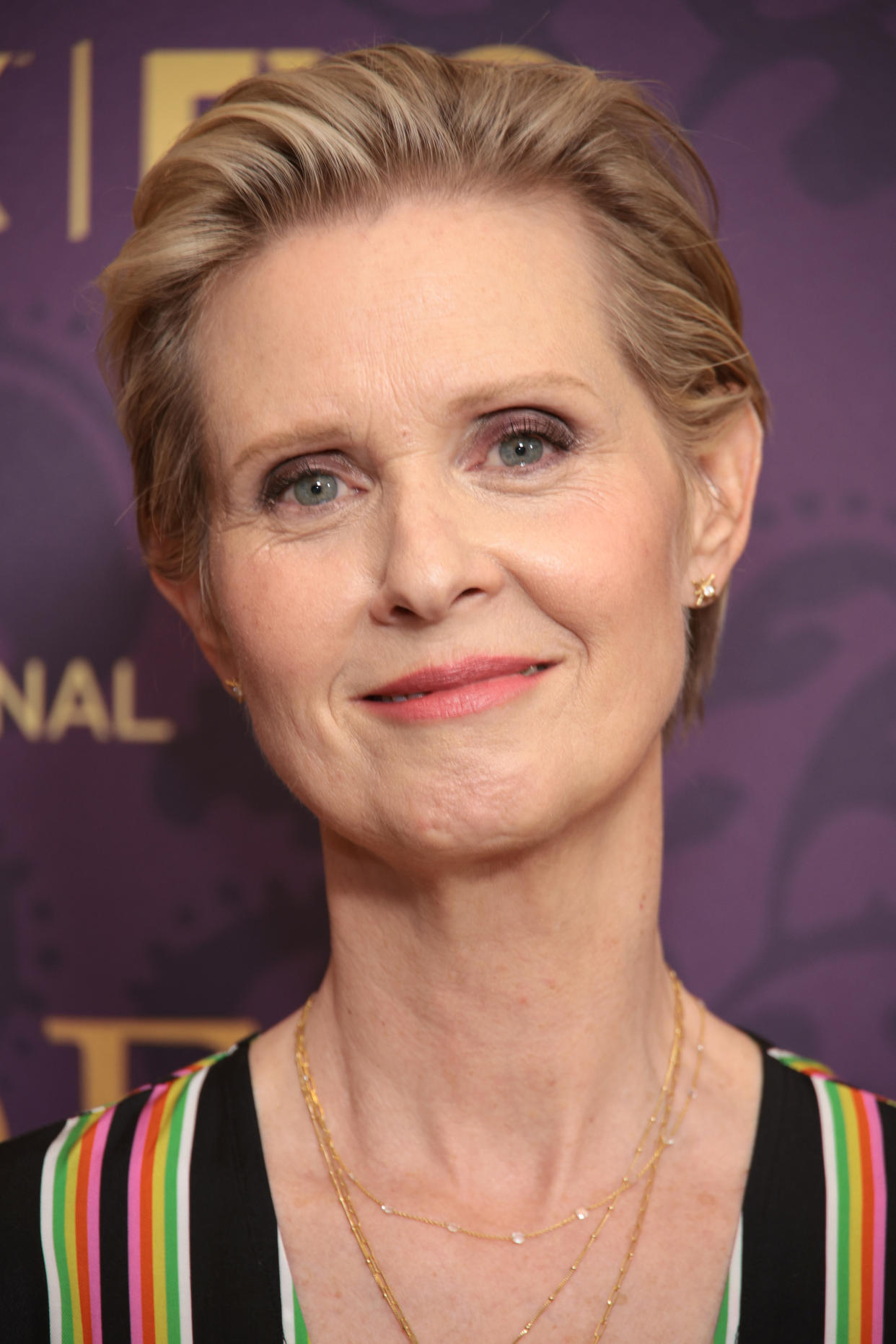 Cynthia Nixon attends 