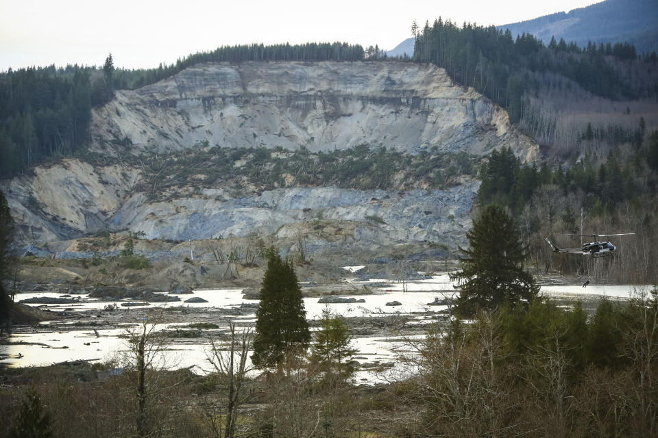 A rescue worker is lowered from a helicopter, right, near Oso, Wash, Monday, March 24, 2014. The search for survivors of Saturday's deadly mudslide grew Monday to include scores of people who were still unaccounted for as the death toll from the wall of trees, rocks and debris that swept through the rural community rose to at least 14. (AP Photo/seattlepi.com, Joshua Trujillo)