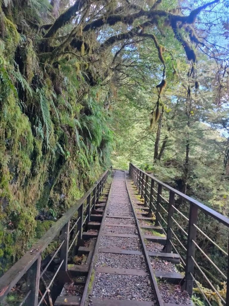 太平山茂興懷舊步道。（中華旅行社提供）