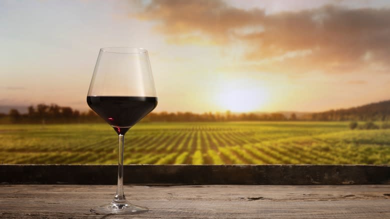 Wine glass and vineyard