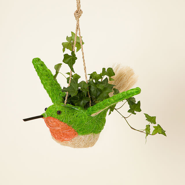 <p><a href="https://go.redirectingat.com?id=74968X1596630&url=https%3A%2F%2Fwww.uncommongoods.com%2Fproduct%2Fcoconut-fiber-hanging-hummingbird-planter&sref=https%3A%2F%2Fwww.countryliving.com%2Fshopping%2Fg60370527%2Fbest-gifts-bird-watchers%2F" rel="nofollow noopener" target="_blank" data-ylk="slk:Shop Now;elm:context_link;itc:0;sec:content-canvas" class="link ">Shop Now</a></p><p>Coconut Fiber Hanging Hummingbird Planter</p><p>uncommongoods.com</p><p>$65.00</p>