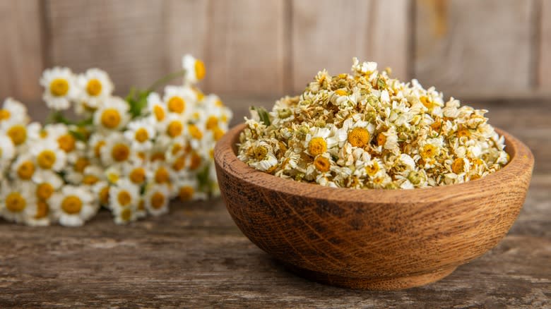 dry chamomile flowers in bowl