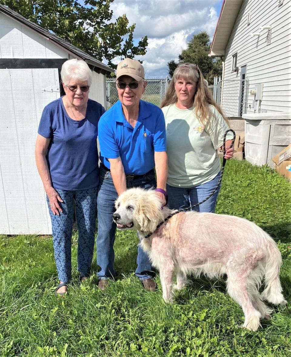 Brutus is reunited with his family in Woodhull, including his owner Suzy Clark, right, and her in-laws Carolyn and Gail Clark, after he was missing for 14 months.
