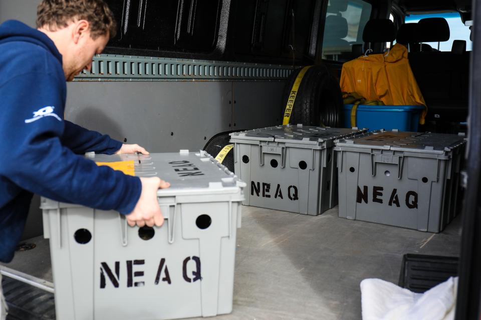 The turtles were brought to Atlanta by an organization called Turtles Fly Too, which is made up of pilots that help in coordinating and facilitating large-scale relocation efforts for endangered species.