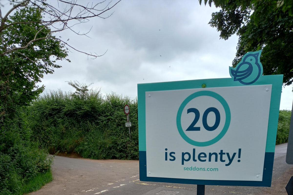 Villagers joined the "20 is plenty" campaign after a number of accidents. <i>(Image: Hollywell Lake Villager)</i>