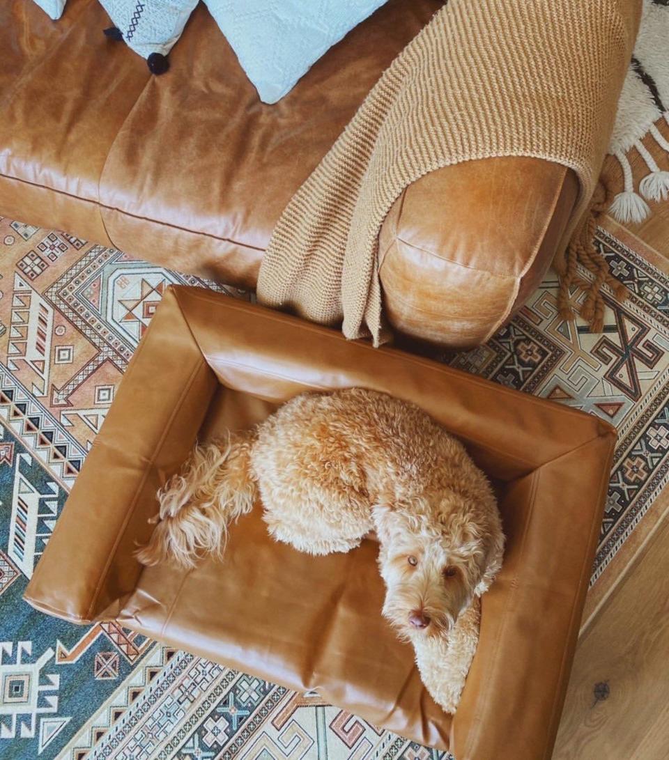 7) Custom Dog Couch