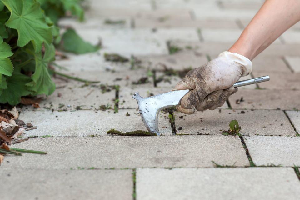 diy vinegar weed killer remove by hand