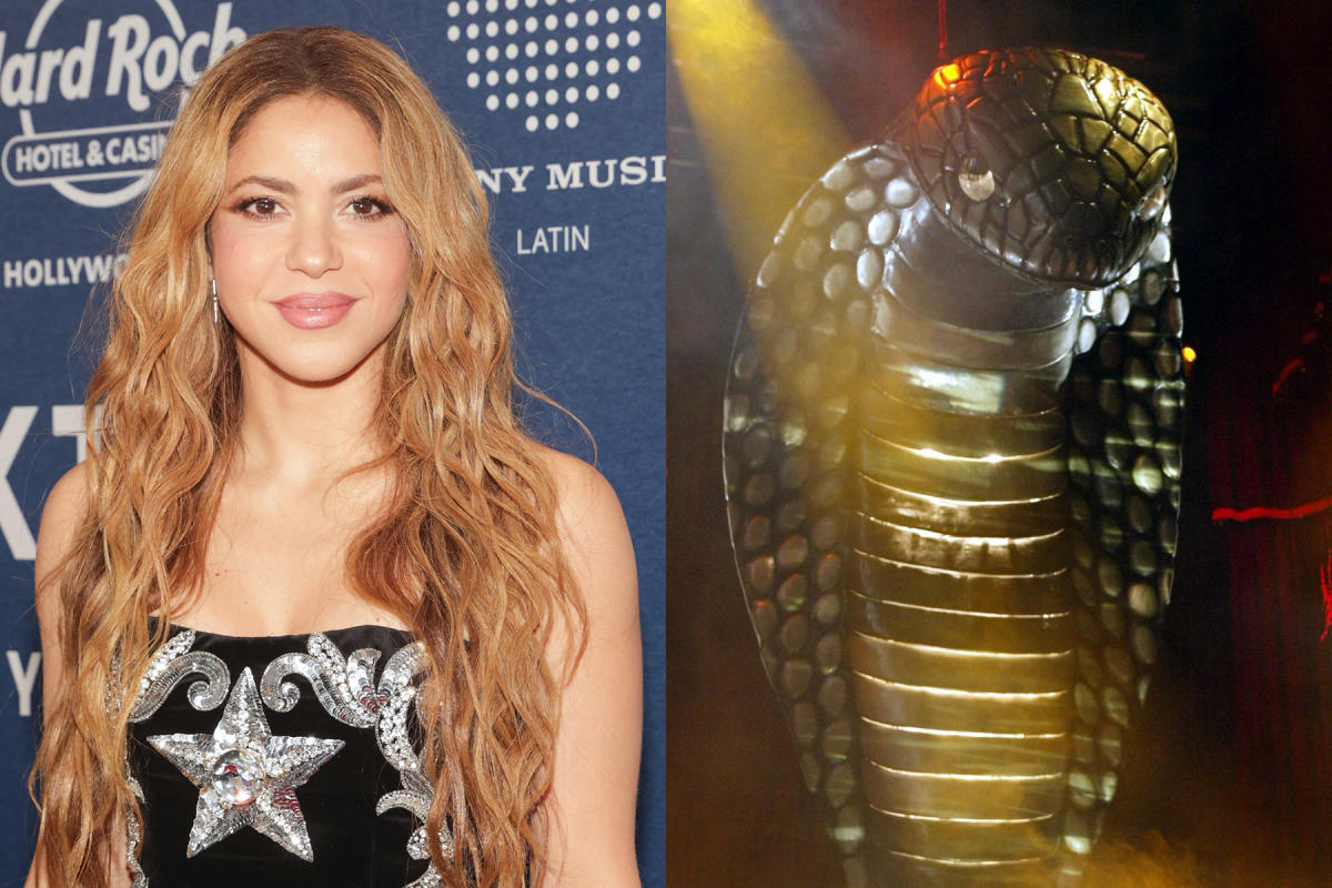 Shakira Admits to Financial Loss on Debut World Tour Due to $1 Million Cobra Incident