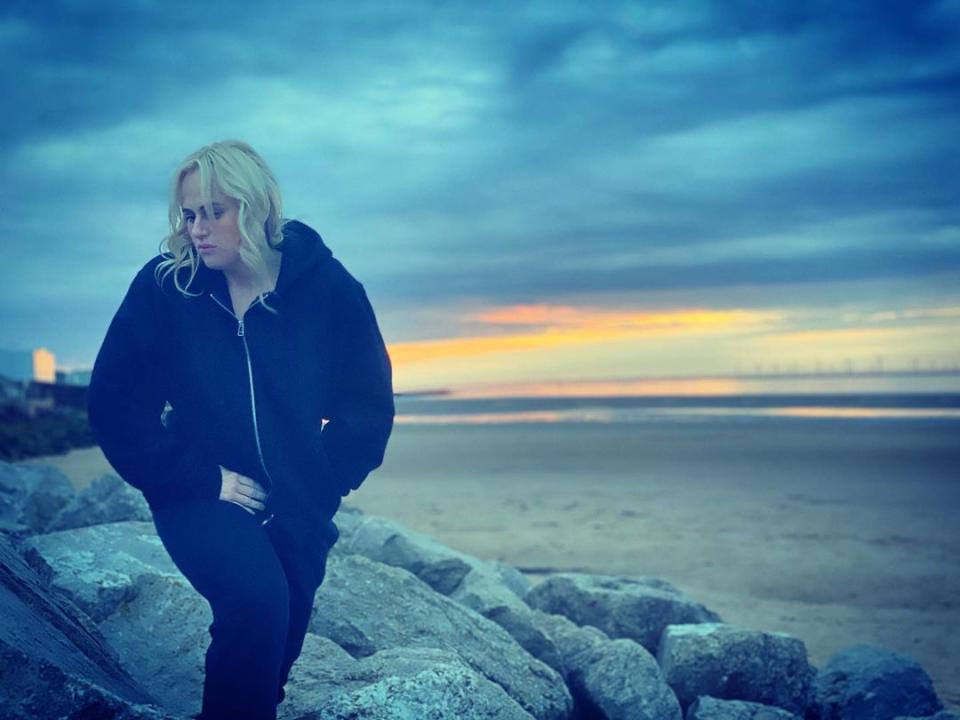 Rebel Wilson took to Instagram to share she had received bad news