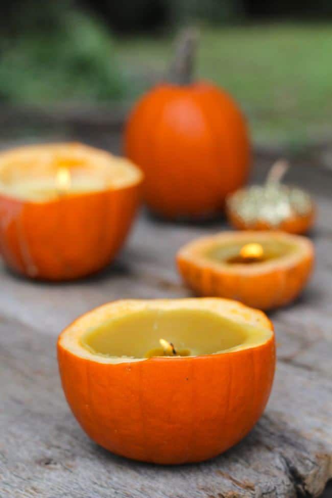 Orange, Food, Lighting, Fruit, Winter squash, Bowl, Vegetarian food, Pumpkin, Plant, Calabaza, 