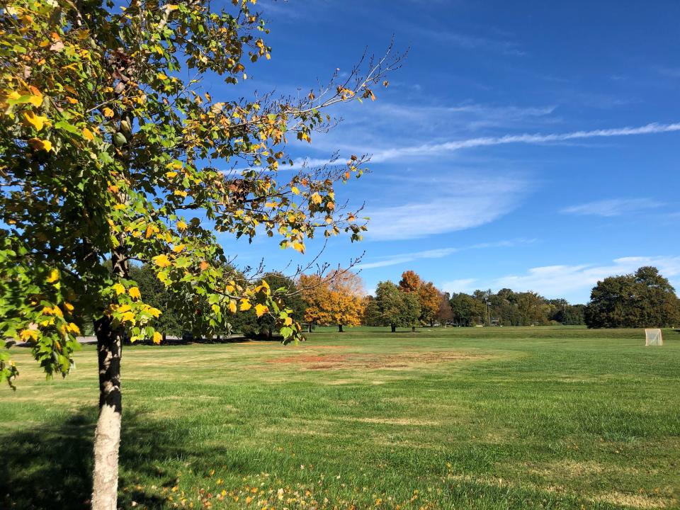 This former Lakeshore Park ballfield, shown on Oct. 27, 2021, will become a great lawn surrounded by a sculptural mound.