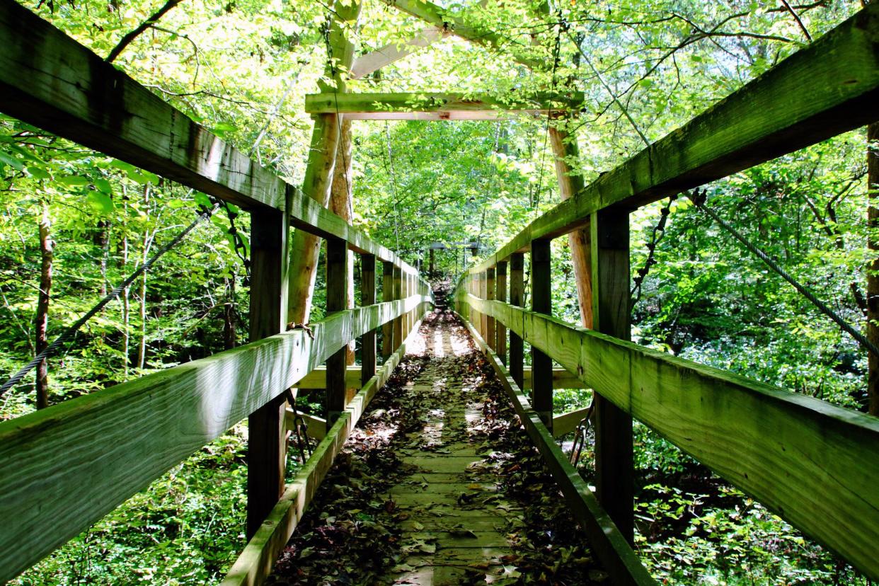 Wood Bridge  at Chicopee Woods Nature Preserve
