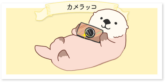 Cameracco, the mascot character of CP+ 2024