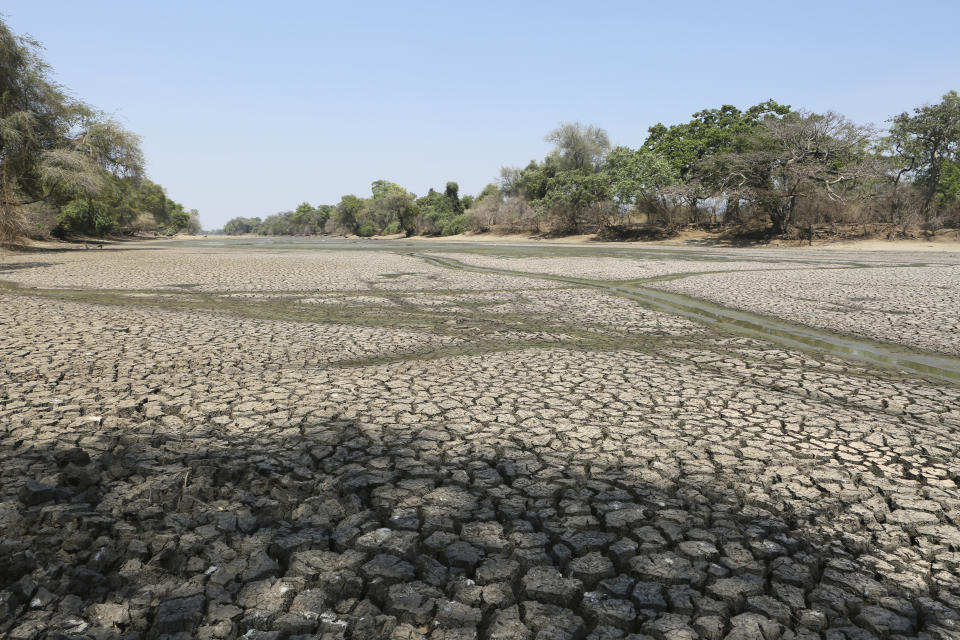 In this photo taken on Sunday, Oct. 27, 2019, a sun baked pool that used to be a perennial water supply is seen in Mana Pools National Park, Zimbabwe. An estimated 45 million people are threatened with hunger due to a severe drought that is strangling wide stretches of southern Africa. International aid agencies said they are planning emergency food deliveries for parts of South Africa, Zambia, Zimbabwe and other countries hard hit by a combination of low rainfall and high temperatures as summer approaches in the southern hemisphere. (AP Photo/Tsvangirayi Mukwazhi)