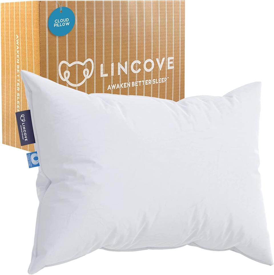 Cloud Natural Canadian Down Pillow