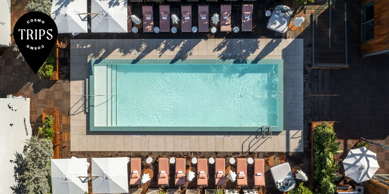 pool at the ray palm beach