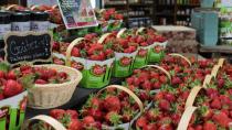 Quebec strawberry farm tasting sweet success despite minimum wage hike