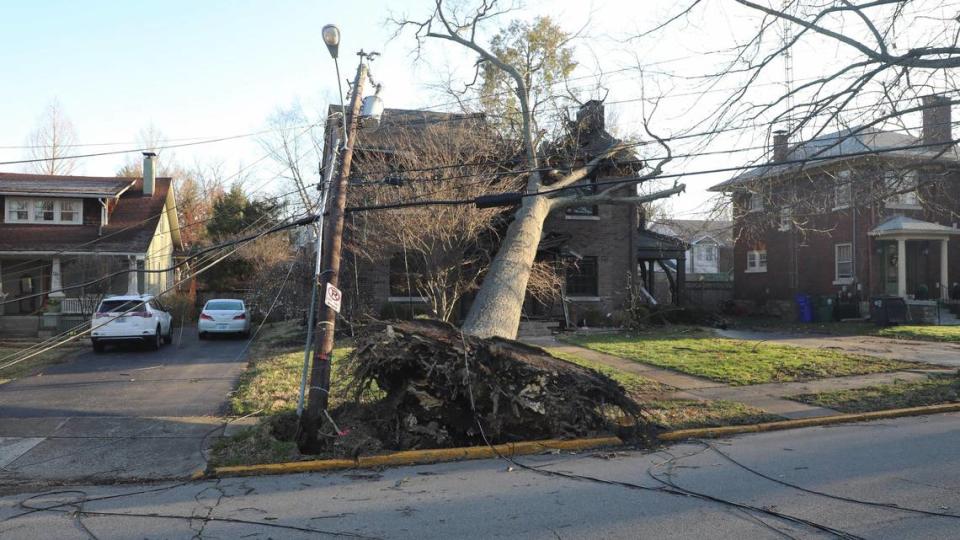A tree and downed power lines sit on a house on Arcadia Park, just off Nicholasville Road, Sunday, March 5, 2023. Two day earlier a strong wind storm knocked out power to much of Lexington, Ky. Brian Simms/bsimms@herald-leader.com