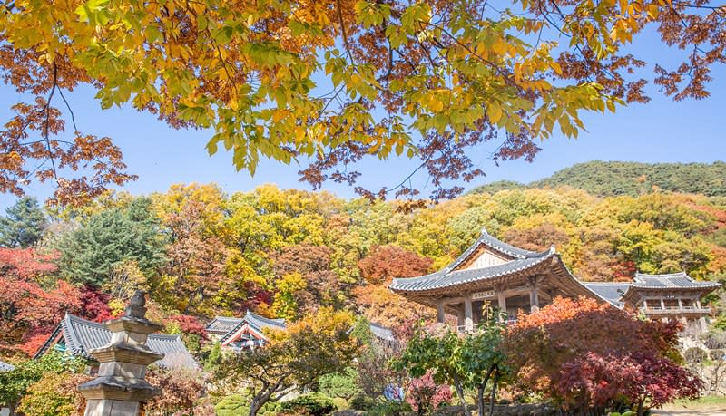 浮石寺