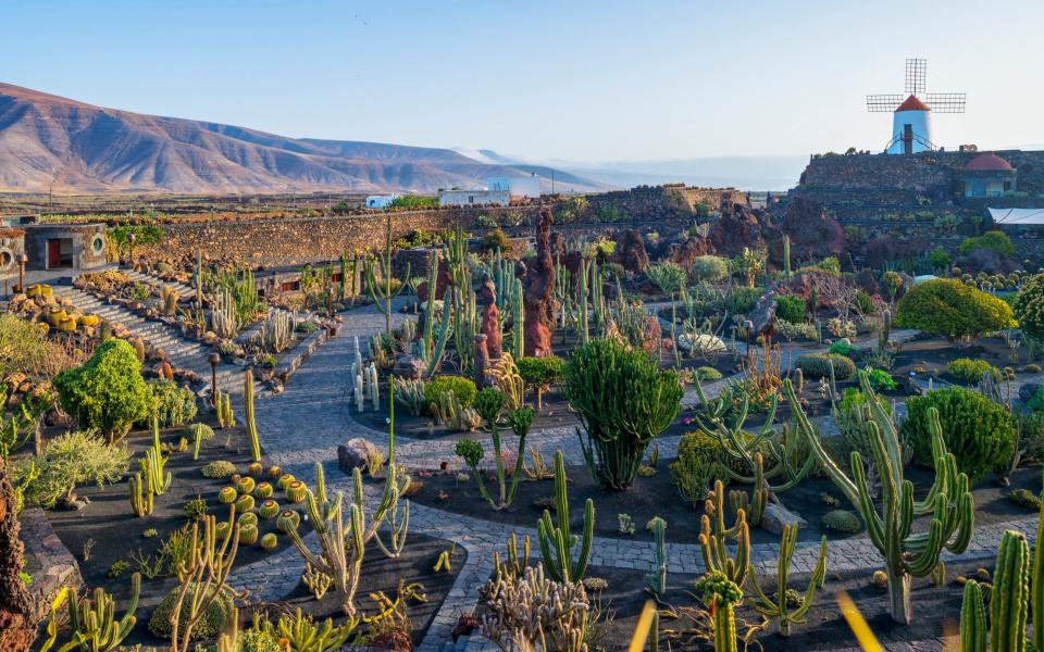 Jardin de Cactus, Lanzarote - 4Corners Images