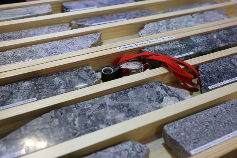 FILE PHOTO: Mining samples are displayed at a Teck Resources booth at the PDAC annual conference in Toronto