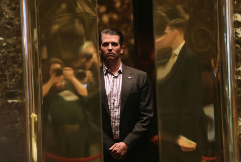 The June 2016 meeting involving Donald Trump Jr has become the focus of allegations that the Trump campaign collaborated with a covert effort by Moscow to turn voters away from Hillary Clinton