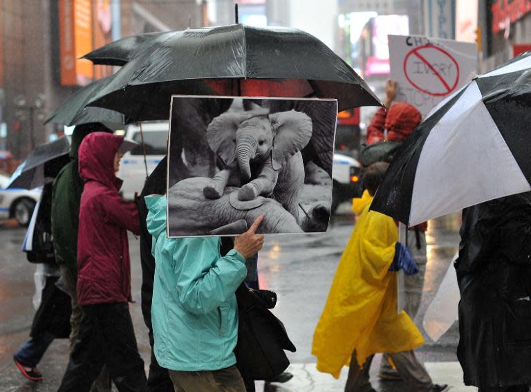 Protesters march across 42nd Street during the official Global March for Elephants and Rhinos rally in New York on October 4, 2014