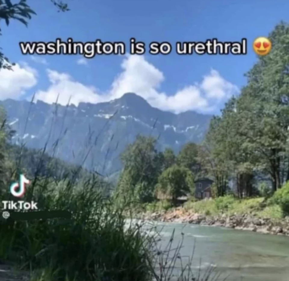 washington is so urethral