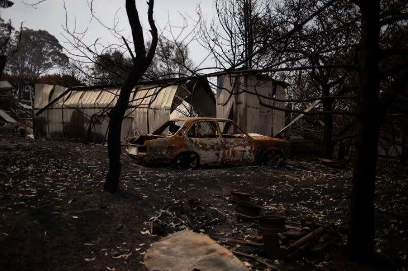 The Wider Image: From Australian bushfire ashes, a community rises in solidarity