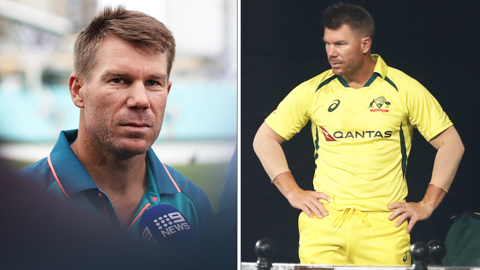 David Warner during an interview and Warner reacts.