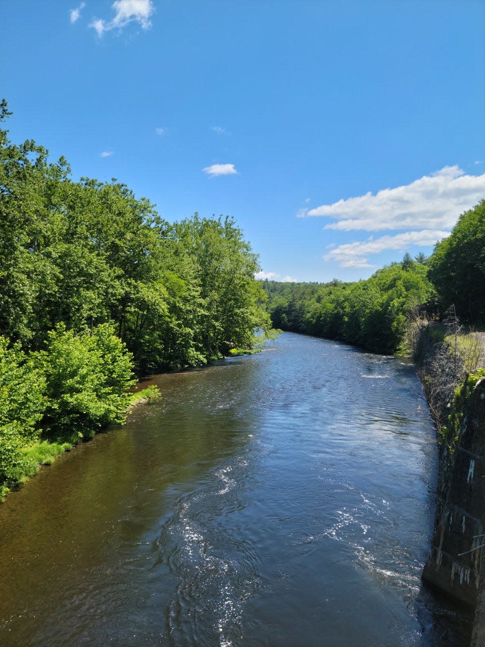 A view of the Lackawaxen River, Lackawaxen Township, Pike County.